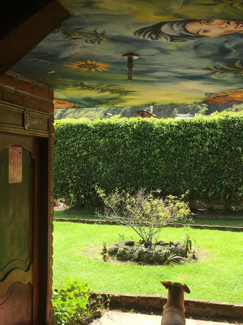 Great Hostels Backpackers Baños Extérieur photo